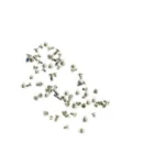 iPhone 6G Plus - Screw Set Complete