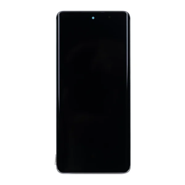 Oppo Reno 10 (CPH2531) Display And Digitizer With Frame Silvery Grey OEM