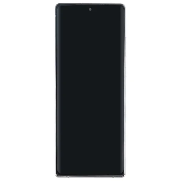 Samsung Galaxy Note 20 Display Complete - Mystic Grey