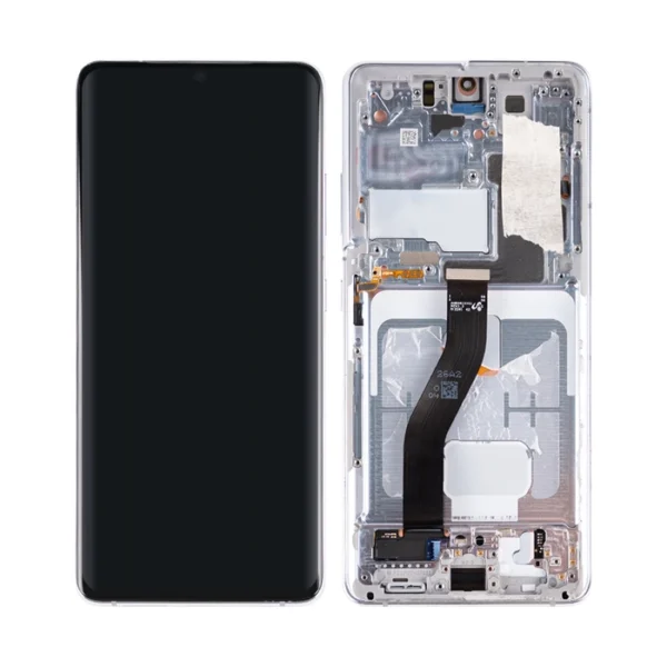 Galaxy S21 Ultra LCD Display With Frame Pulled - Phantom Silver