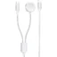 Xssive 2in1 Charging Cable for iPhone iWatch XSS-WATCH2IN1CL